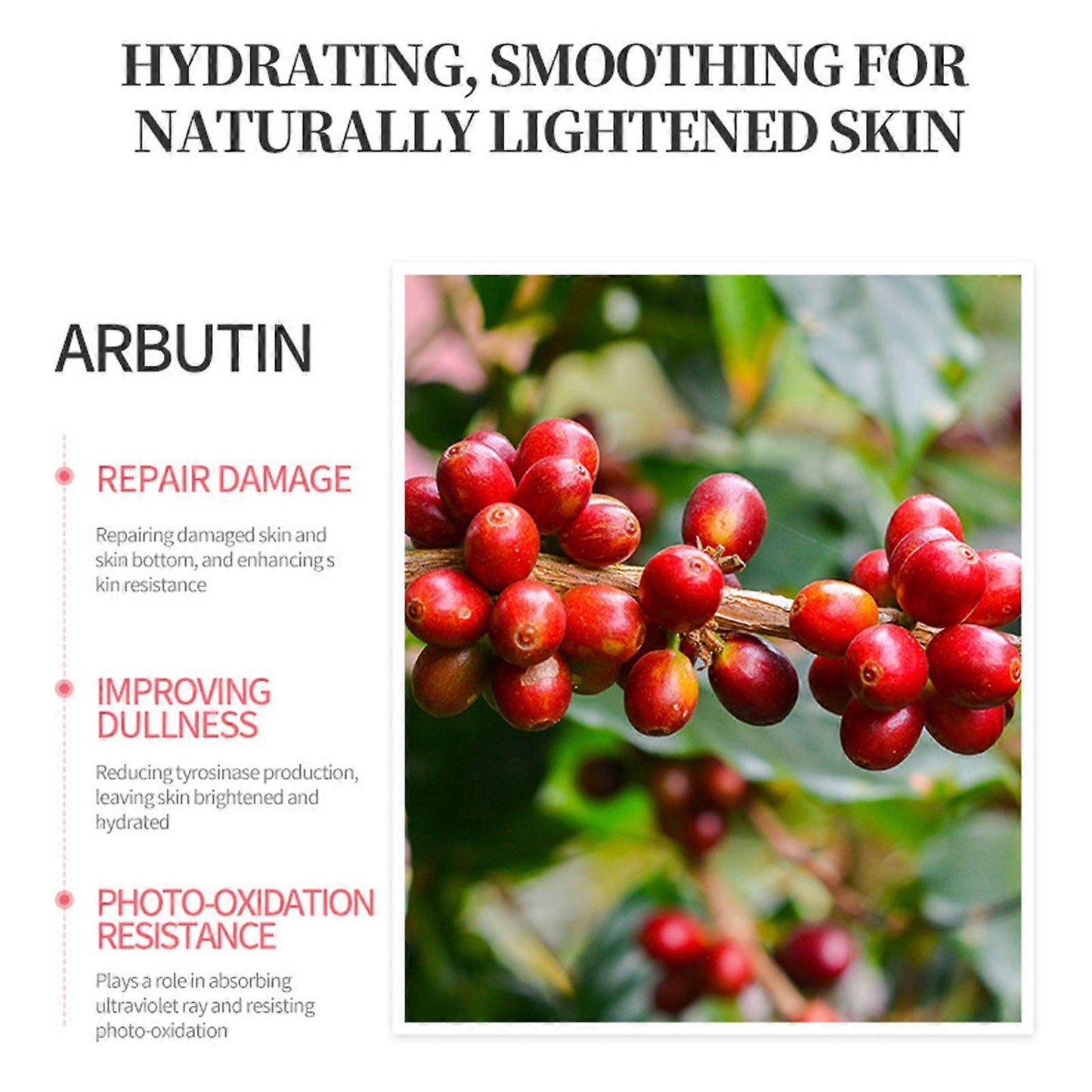 Arbutin Korean Essence - 5 Masks